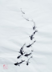 В движении